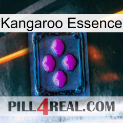Kangaroo Essence 04